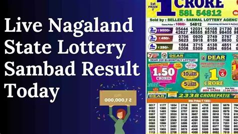 nagaland state lottery result today 8pm dear parrot
